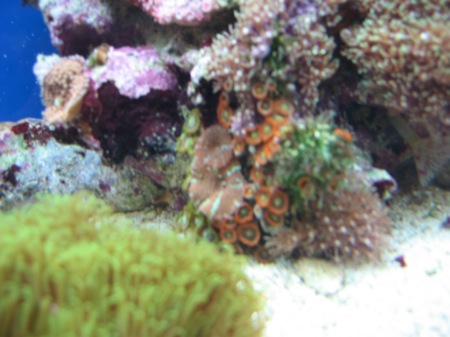 scaled.IMG_0015.JPG