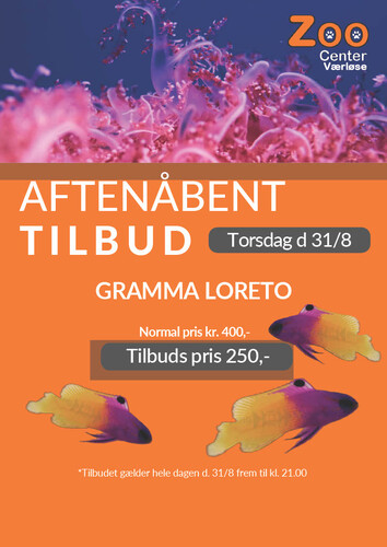 Gramma Loretto aftenåbent 31-8 (1)1024_1.jpg