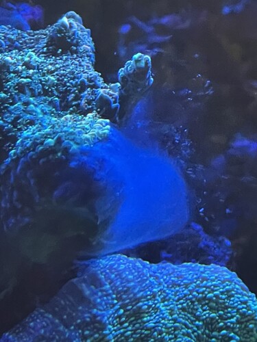 IMG_3077.jpeg