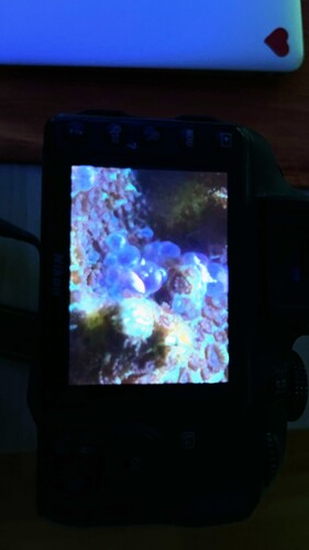 IMG_4454.jpeg
