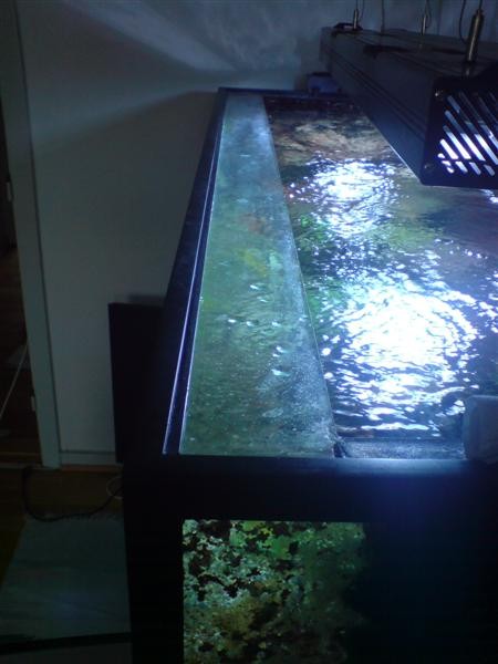 DSC00079 (Medium).JPG