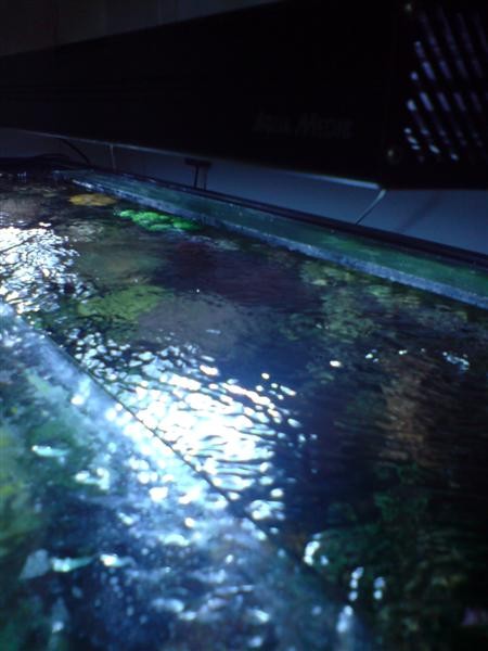 DSC00080 (Medium).JPG