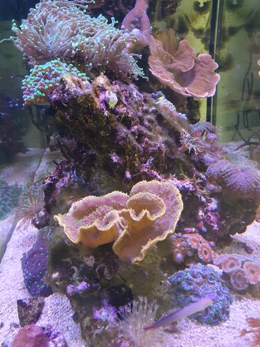 20240610_193631.jpg