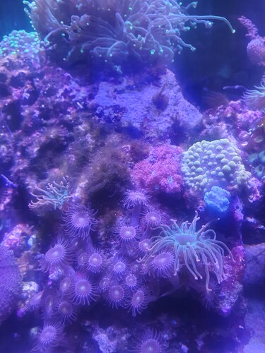 20240610_214537.jpg