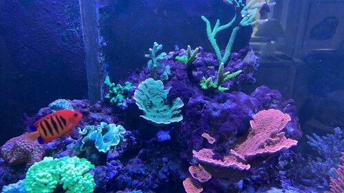 IMG_4184.jpeg