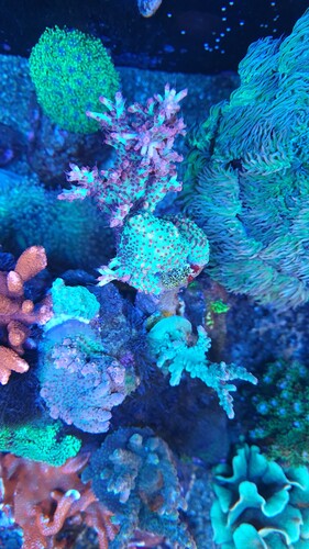 20230402_112904.jpg