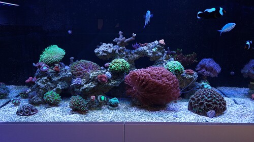 20220411_184738.jpg