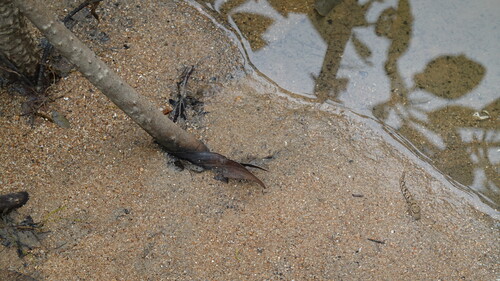 DSC07793.JPG