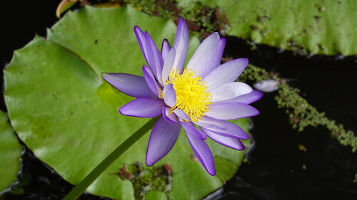 DSC07727.JPG