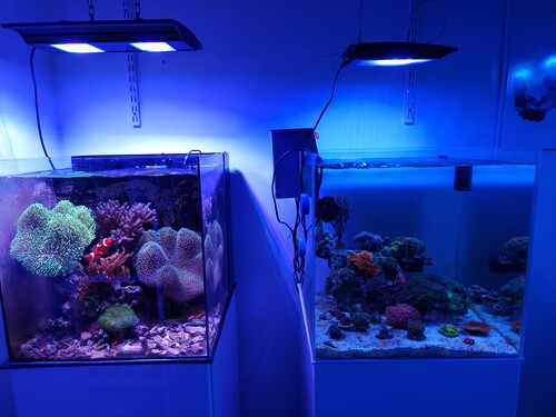 20241118_154221.jpg