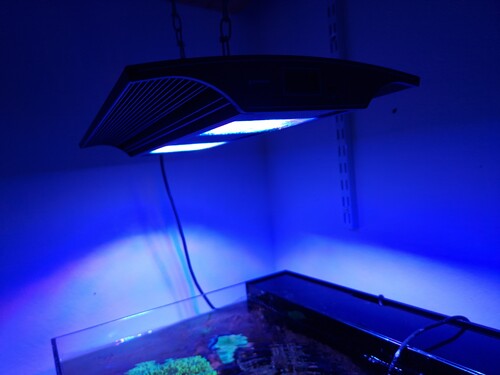 20241120_153155.jpg
