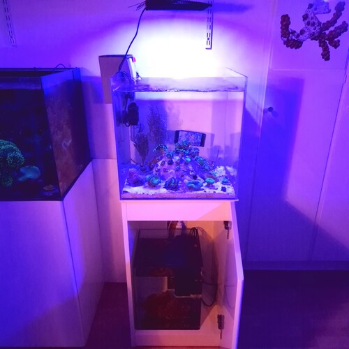 20250102_214448.jpg