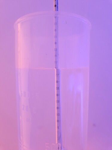 20250112_124223.jpg