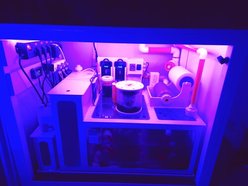 20250127_082615.jpg