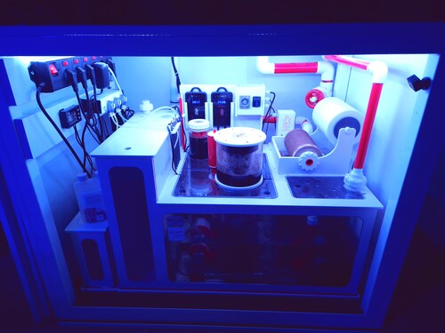 20250127_082627.jpg