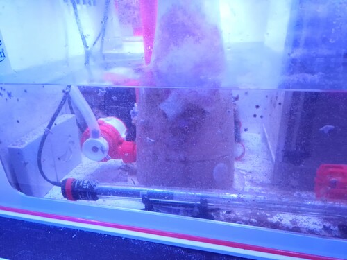 20250127_082717.jpg