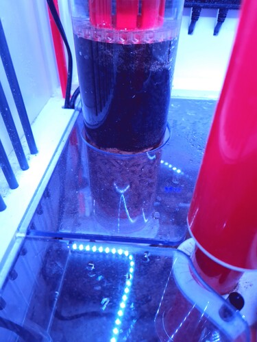 20250127_082757.jpg