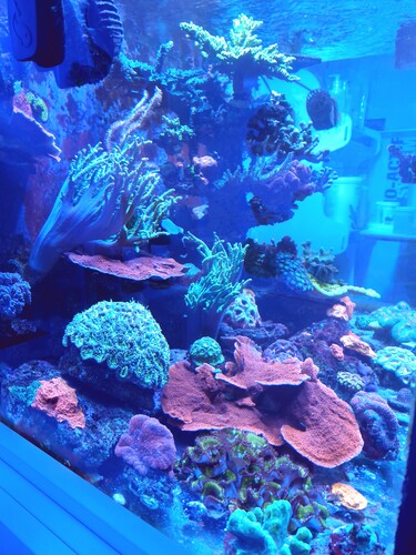 20250127_100558.jpg