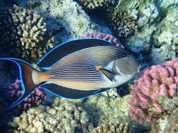 IMG_1105.jpeg