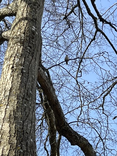 IMG_7183.jpeg