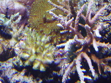 P1010005_resize.JPG