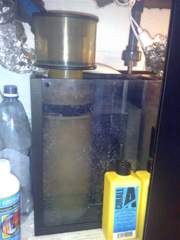 skummer 1 (Small).jpg