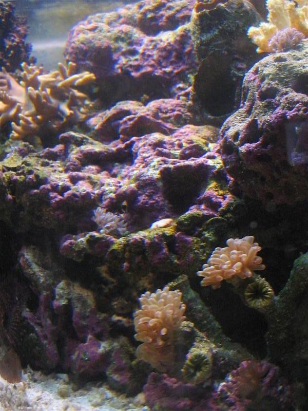 Picture 011 (Medium).jpg