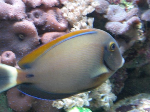 CIMG0407 (Medium).JPG