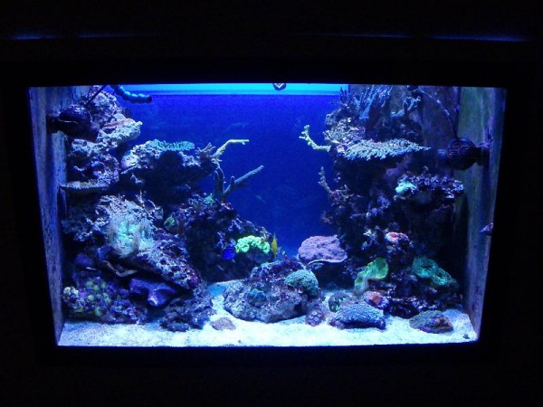 aqualight 250 watt 14000 k