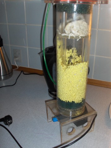 HPIM0675 [640x480].JPG