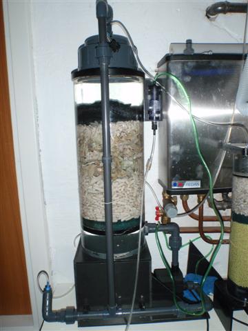 Div. akvarie 069 (Small).jpg