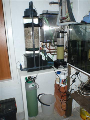 Div. akvarie 070 (Small).jpg