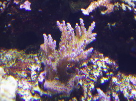 P1010012_resize.JPG