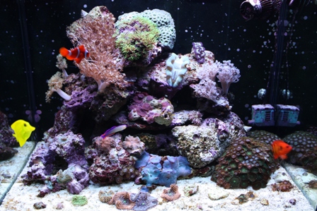 Her har det kørt omkring 6 månder