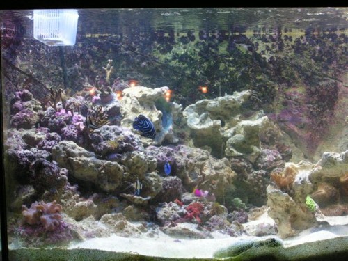 PICT0007 (Medium).JPG