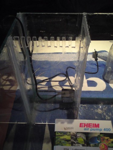 DSC00179.JPG (81.87 KiB) Vist 1456 gange limet sammen