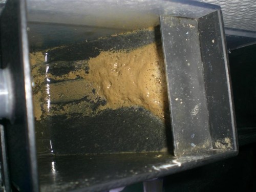 CIMG3478 (Medium).JPG