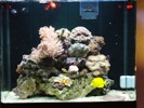 nymanns fisk 062.JPG