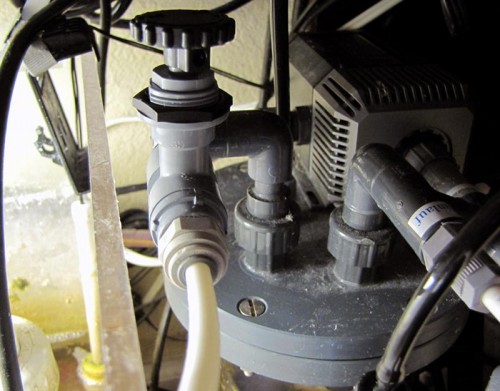 KorallinMod (Medium).jpg