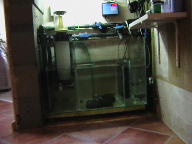IMGA0034 (Small).JPG