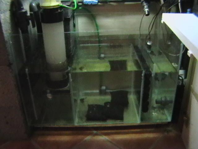 IMGA0035 (Small).JPG