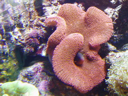P1010020_resize.JPG