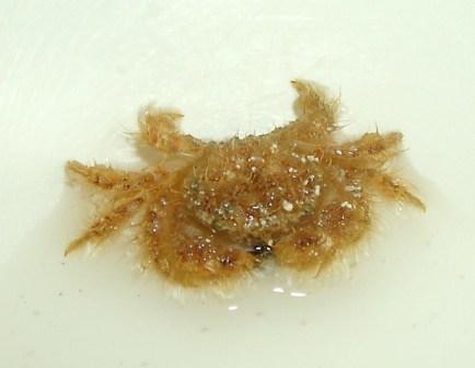 GEDC0001.JPG