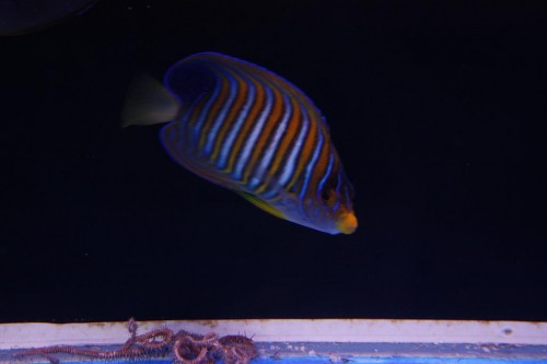 IMG_3030.JPG