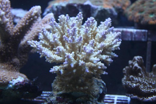 IMG_3071.JPG