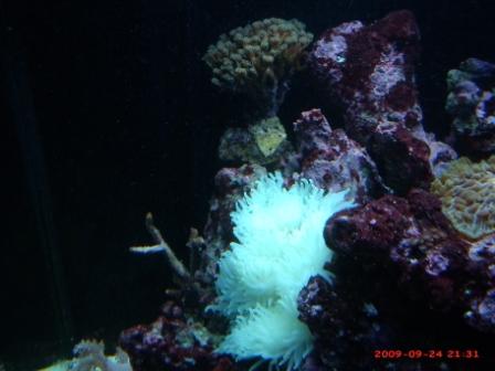 GEDC0051.JPG