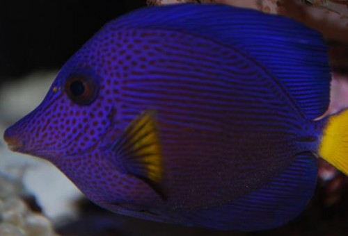 DSC_0178.JPG