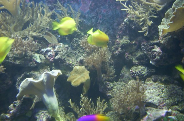 DCP_2533.JPG