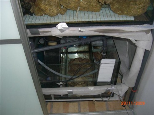 CIMG2517 (Small).JPG