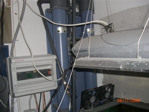 CIMG2518 (Small).JPG